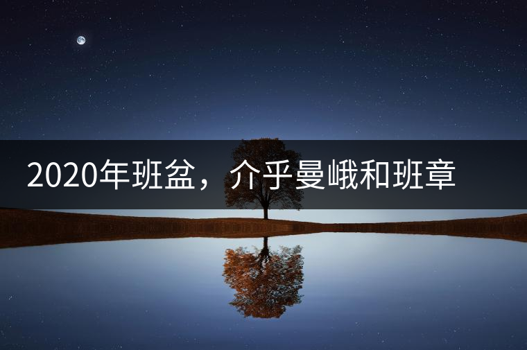 2020年班盆，介乎曼峨和班章間的“老漢子”-易武中聘號(hào)
