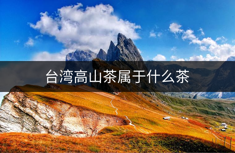 臺(tái)灣高山茶屬于什么茶