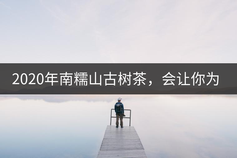 2020年南糯山古樹茶，會讓你為之著迷-易武中聘號