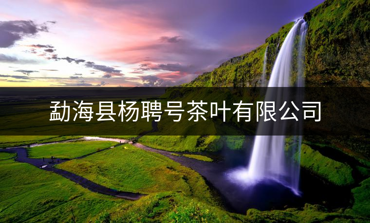 勐?？h楊聘號茶葉有限公司