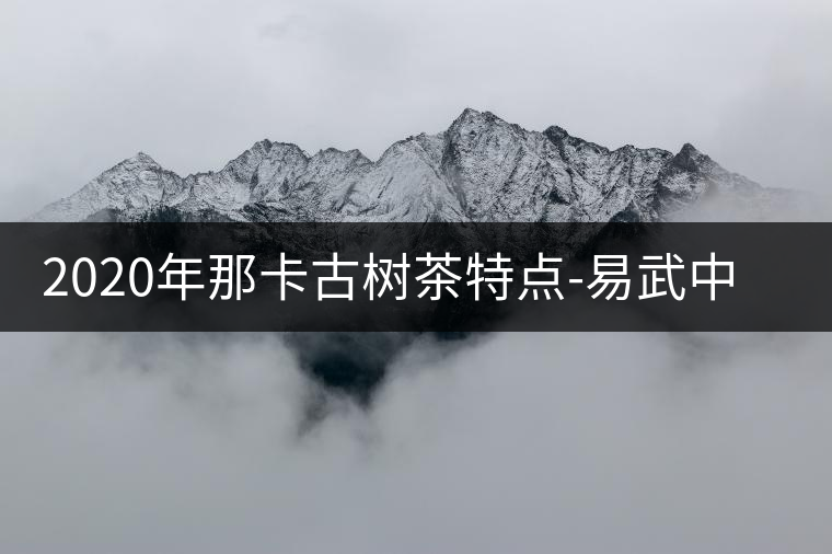2020年那卡古樹茶特點(diǎn)-易武中聘號