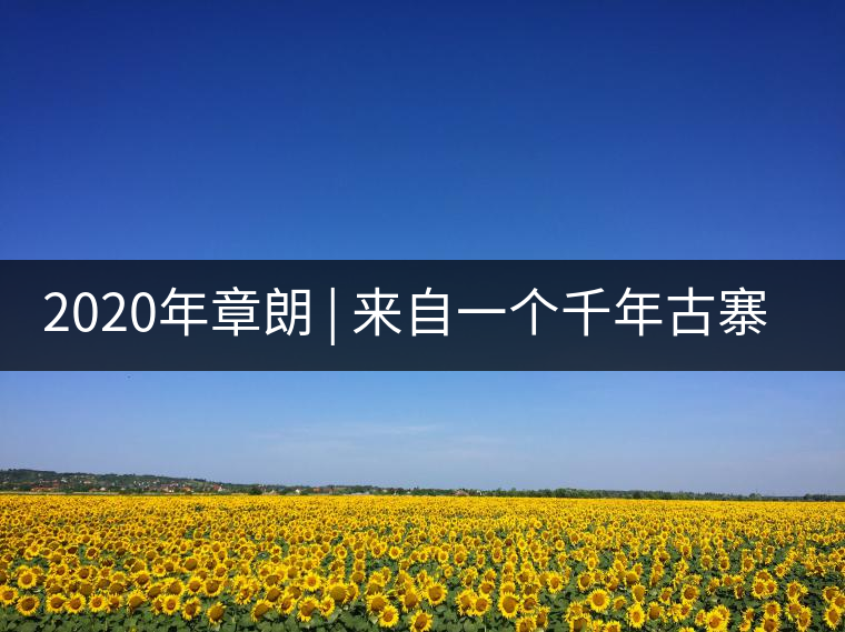 2020年章朗 | 來自一個(gè)千年古寨的古樹茶 -易武中聘號(hào) 2020年章朗 | 來自一個(gè)千年古寨的古樹茶 -易武中聘號(hào)