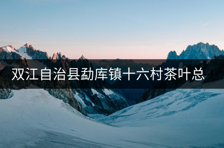 雙江自治縣勐庫(kù)鎮(zhèn)十六村茶葉總匯元夢(mèng)茶廠簡(jiǎn)介