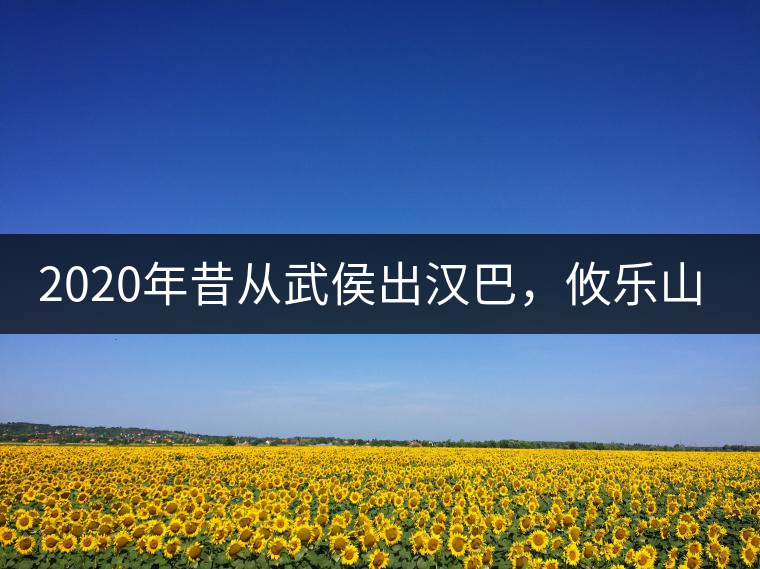2020年昔從武侯出漢巴，攸樂(lè)山中只種茶。-易武中聘號(hào)