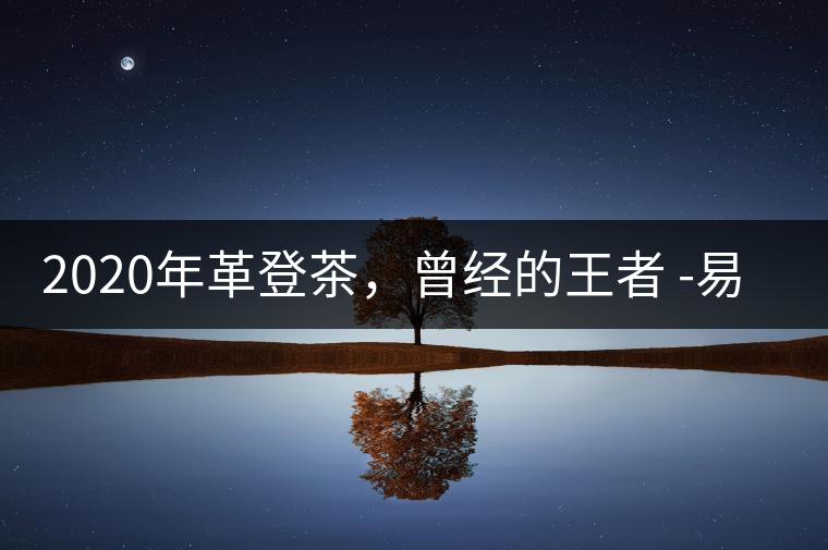 2020年革登茶，曾經(jīng)的王者 -易武中聘號(hào)