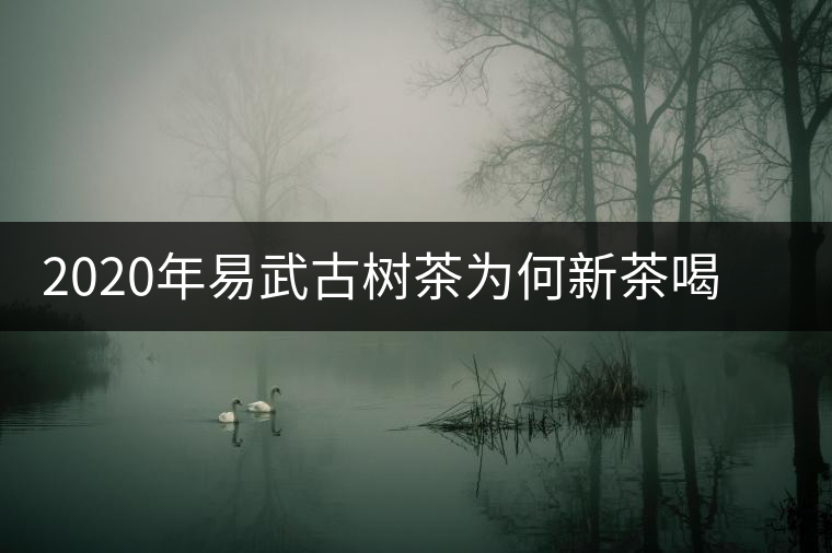 2020年易武古樹茶為何新茶喝時(shí)淡卻越放越濃？-易武中聘號(hào)