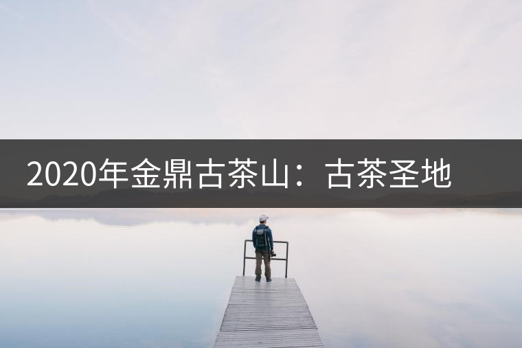 2020年金鼎古茶山：古茶圣地 探險樂園-易武中聘號