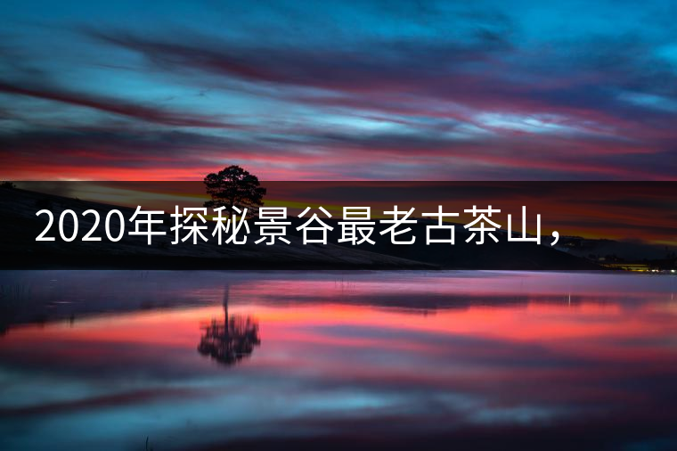 2020年探秘景谷最老古茶山，一個家族的興茶往事-易武中聘號