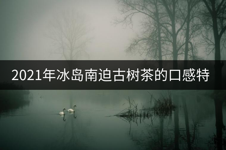 2021年冰島南迫古樹茶的口感特點(diǎn)！