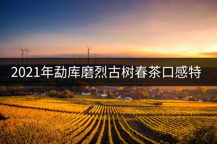 2021年勐庫磨烈古樹春茶口感特點(diǎn)是什么？
