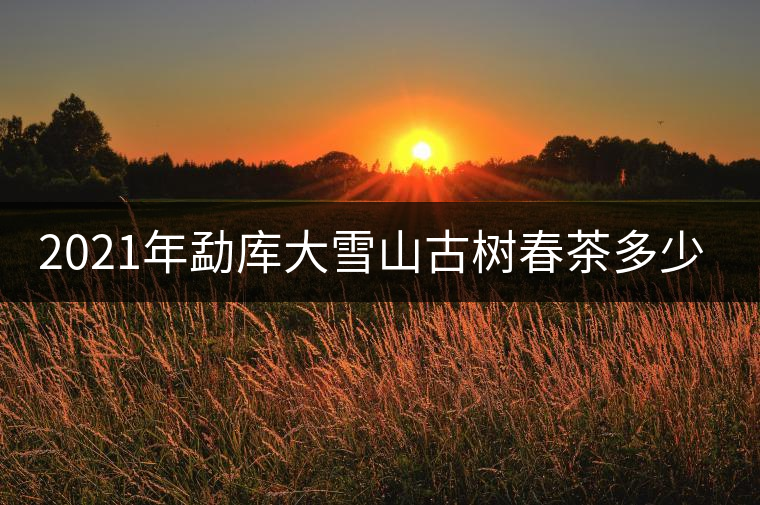 2021年勐庫大雪山古樹春茶多少錢一公斤？