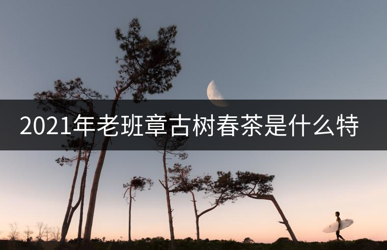 2021年老班章古樹(shù)春茶是什么特點(diǎn)？