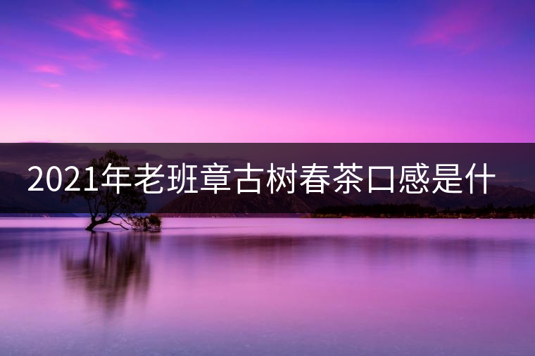 2021年老班章古樹春茶口感是什么？