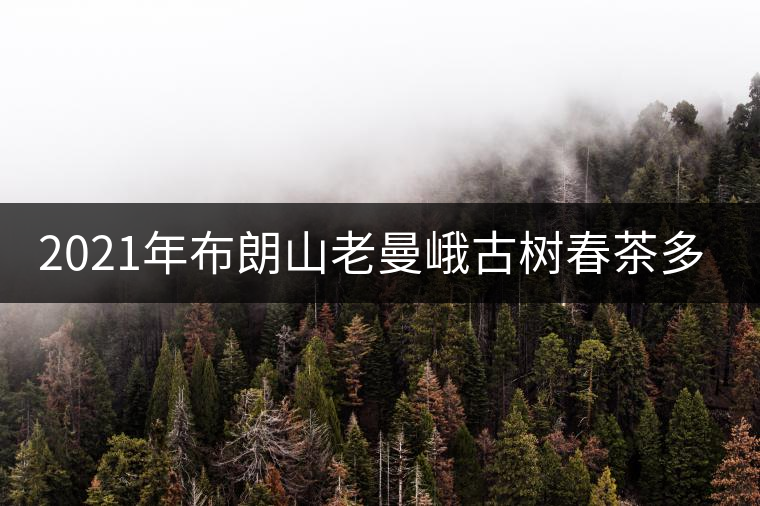 2021年布朗山老曼峨古樹春茶多少錢一公斤？
