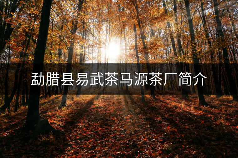 勐臘縣易武茶馬源茶廠(chǎng)簡(jiǎn)介 勐臘縣易武茶馬源茶廠(chǎng)簡(jiǎn)介