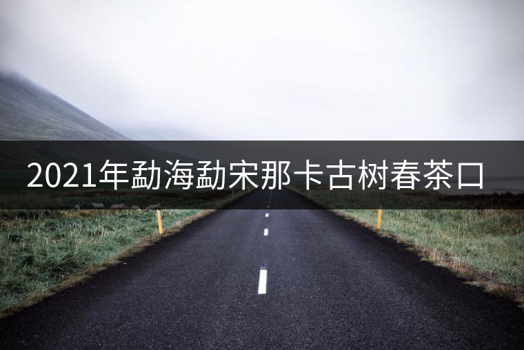 2021年勐海勐宋那卡古樹(shù)春茶口感？