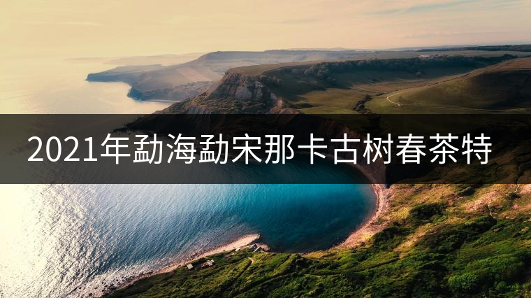 2021年勐海勐宋那卡古樹春茶特點？