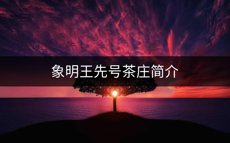 象明王先號(hào)茶莊簡介 象明王先號(hào)茶莊簡介