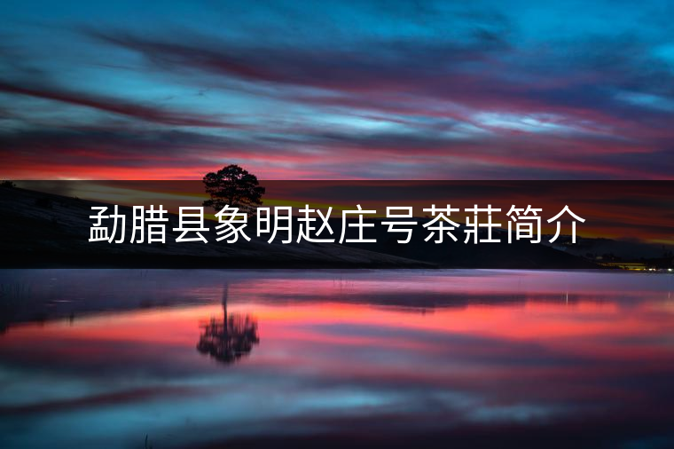 勐臘縣象明趙莊號茶莊簡介