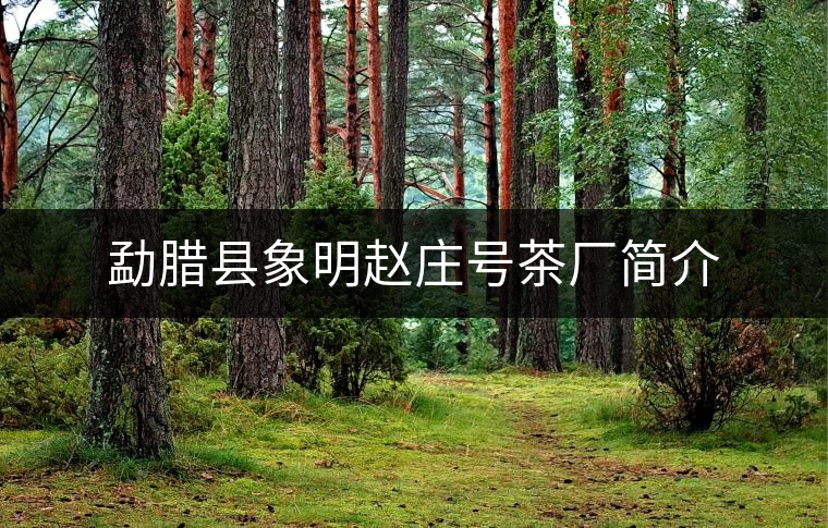 勐臘縣象明趙莊號(hào)茶廠簡(jiǎn)介 勐臘縣象明趙莊號(hào)茶廠簡(jiǎn)介