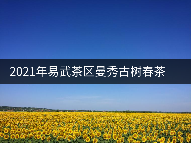 2021年易武茶區(qū)曼秀古樹(shù)春茶多少錢(qián)一公斤 2021年易武茶區(qū)曼秀古樹(shù)春茶多少錢(qián)一公斤