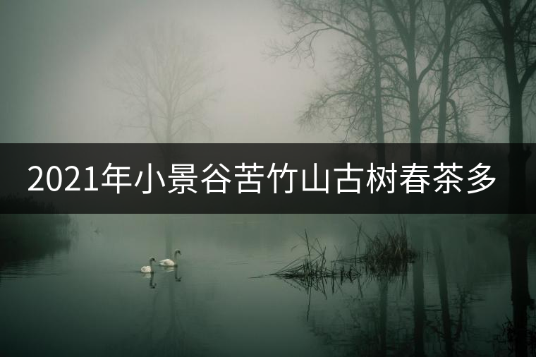 2021年小景谷苦竹山古樹春茶多少錢一公斤？