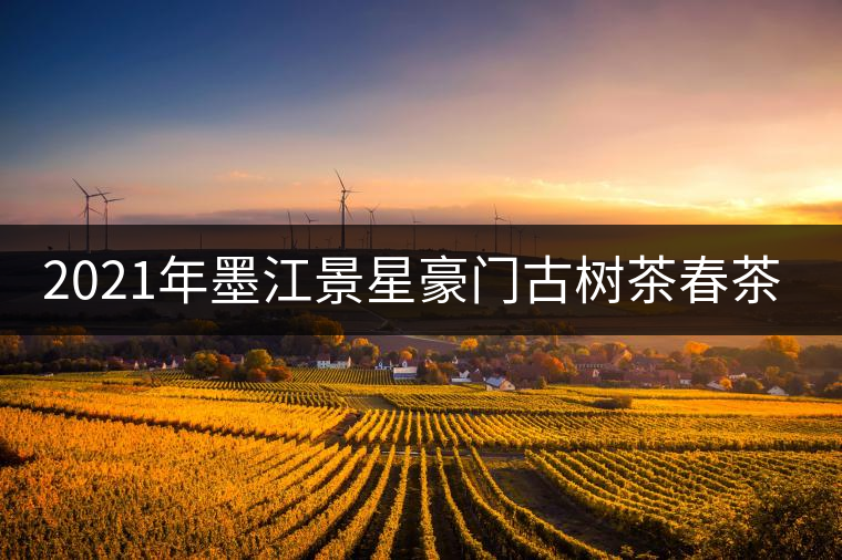 2021年墨江景星豪門古樹茶春茶價(jià)格多少錢一斤？