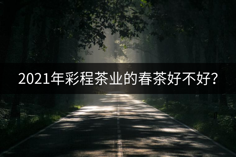 2021年彩程茶業(yè)的春茶好不好？