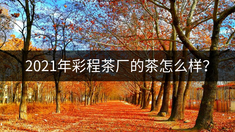2021年彩程茶廠的茶怎么樣？