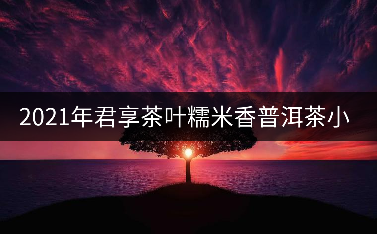 2021年君享茶葉糯米香普洱茶小沱茶餅口感好嗎？