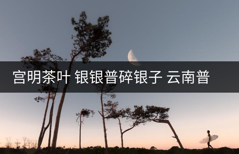 宮明茶葉 銀銀普碎銀子 云南普洱茶熟茶易武古樹糯米香老茶頭好喝嗎？