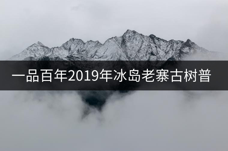 一品百年2019年冰島老寨古樹普洱茶生茶好喝嗎？