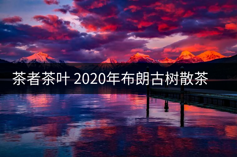 茶者茶葉 2020年布朗古樹散茶  性價比怎么樣？