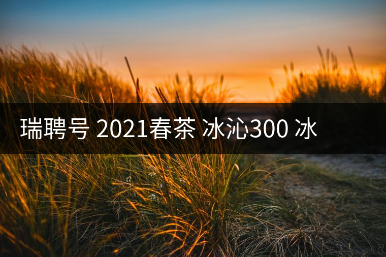瑞聘號 2021春茶 冰沁300 冰島頭春古樹茶好喝嗎？