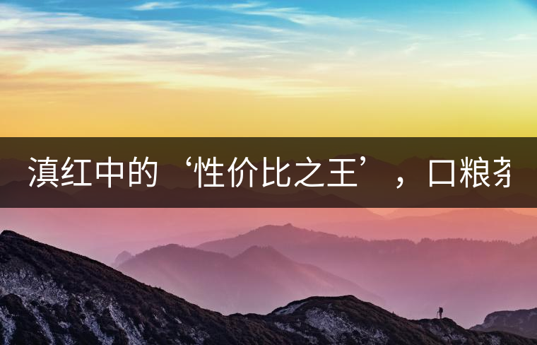 滇紅中的‘性價比之王’，口糧茶首選！