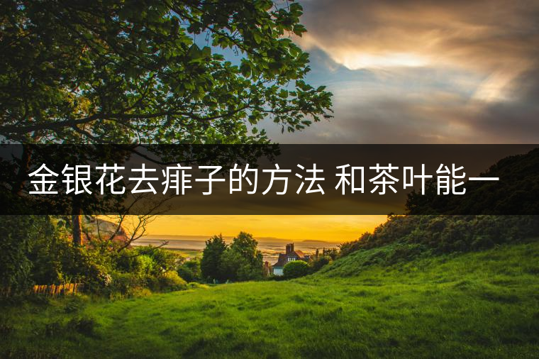 金銀花去痱子的方法 和茶葉能一起泡嗎 金銀花去痱子的方法 和茶葉能一起泡嗎