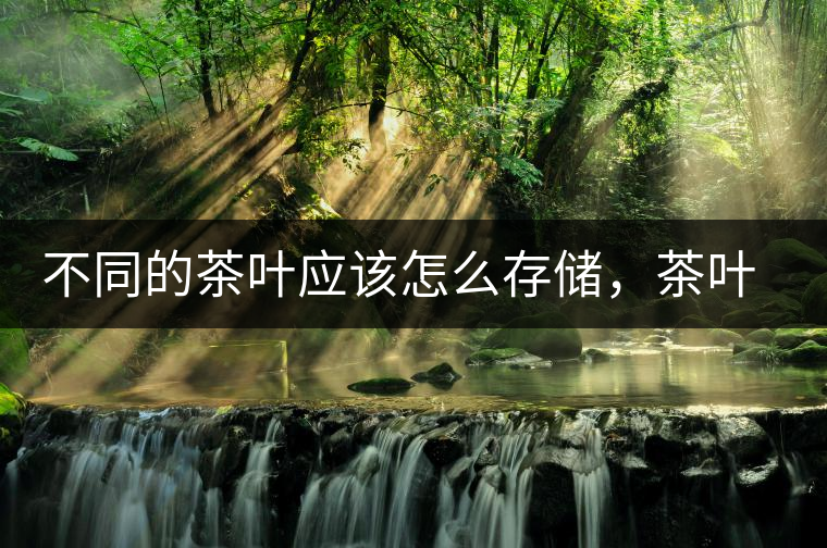 不同的茶葉應(yīng)該怎么存儲，茶葉罐又該如何選擇？
