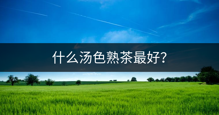 什么湯色熟茶最好？