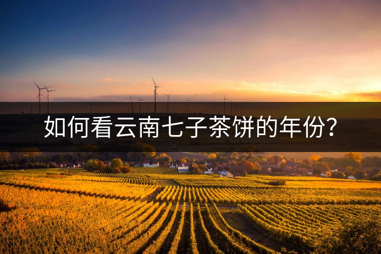 如何看云南七子茶餅的年份？