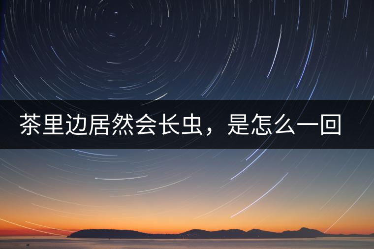 茶里邊居然會長蟲，是怎么一回事呢？