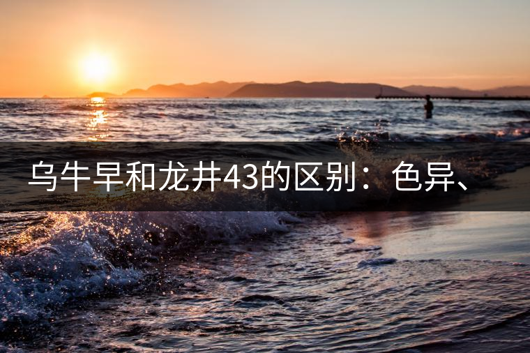 烏牛早和龍井43的區(qū)別：色異、香異、形異