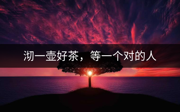 沏一壺好茶，等一個(gè)對(duì)的人