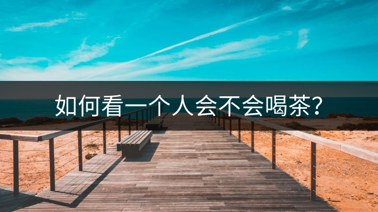 如何看一個人會不會喝茶？