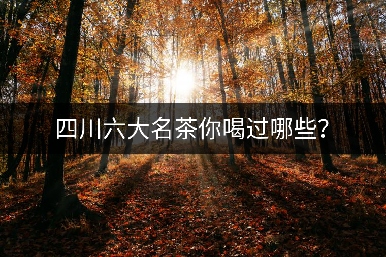 四川六大名茶你喝過哪些？