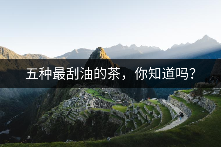 五種最刮油的茶，你知道嗎？