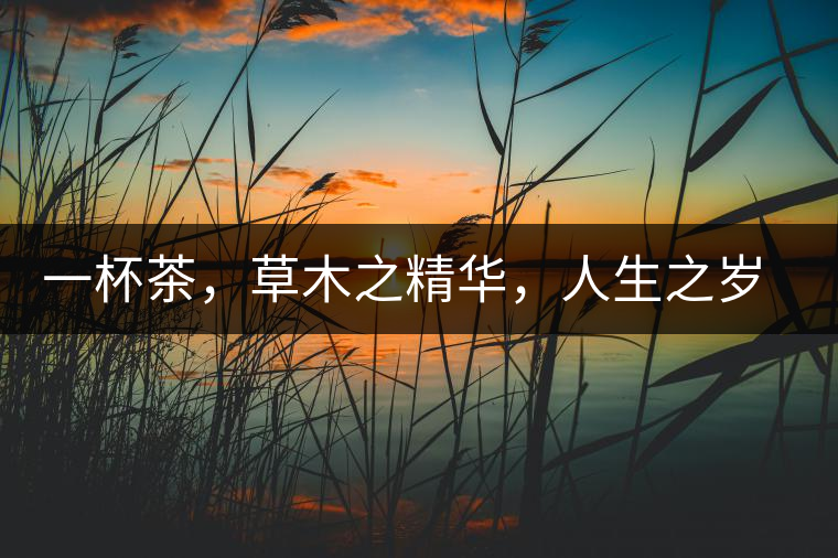 一杯茶，草木之精華，人生之歲月
