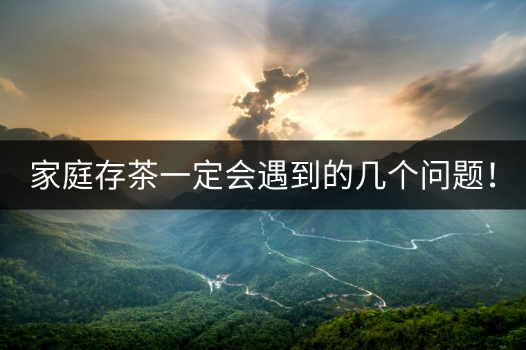 家庭存茶一定會遇到的幾個問題！