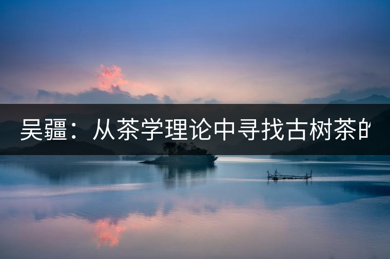 吳疆：從茶學(xué)理論中尋找古樹茶的鑒別方法？（讀書筆記3）