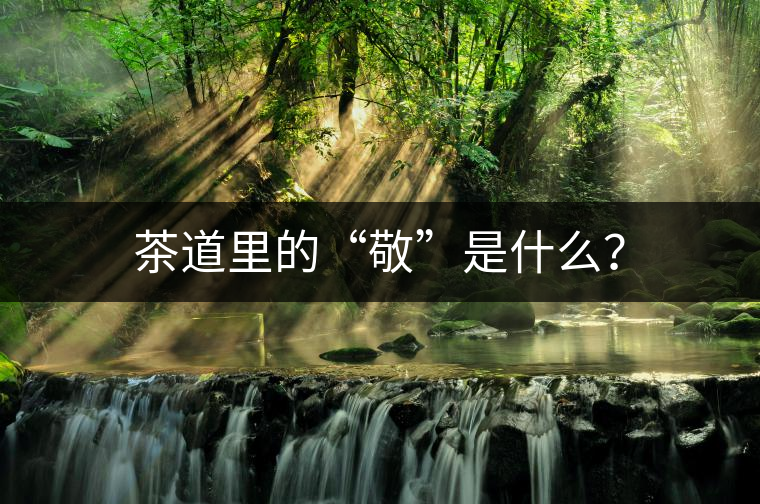 茶道里的“敬”是什么？