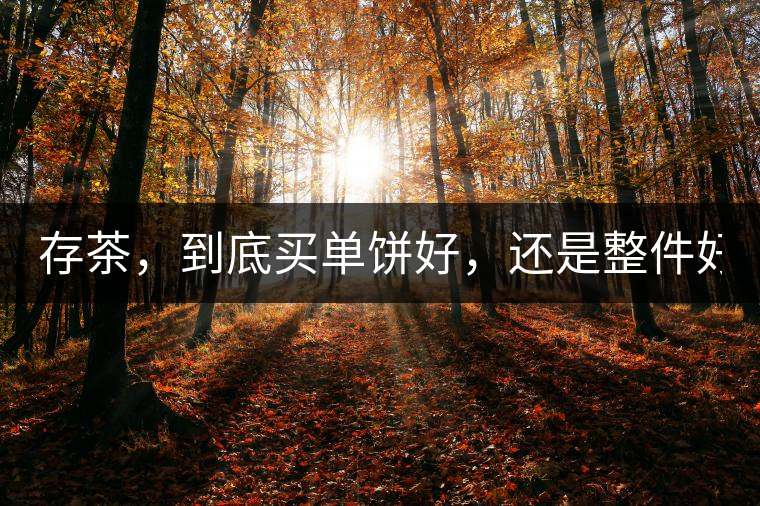 存茶，到底買單餅好，還是整件好？